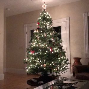 Meet your Posher, Craig